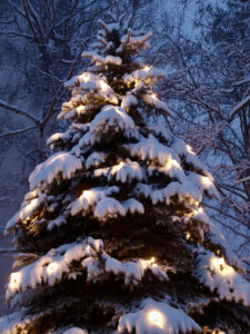 Frohe Weihnachten! © Foto: Hans-Martin Goede